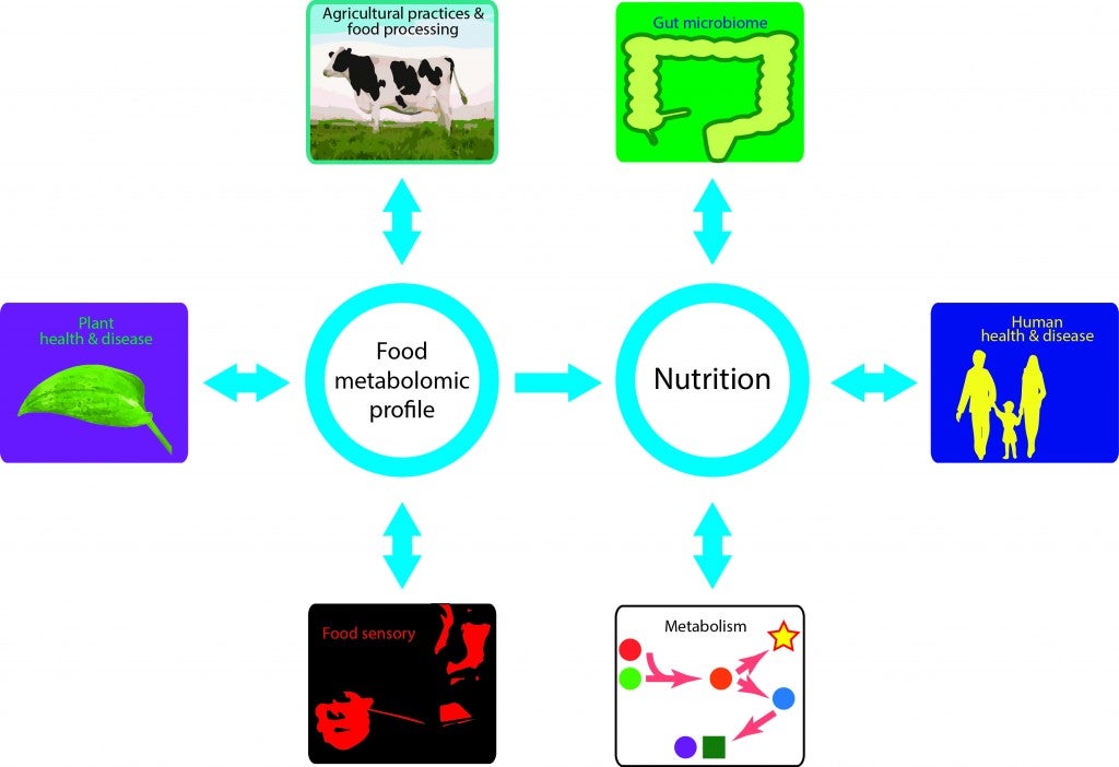 Slupsky Lab research overview