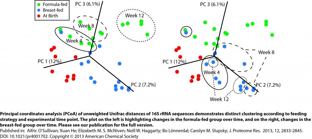 Infant gut microbiome